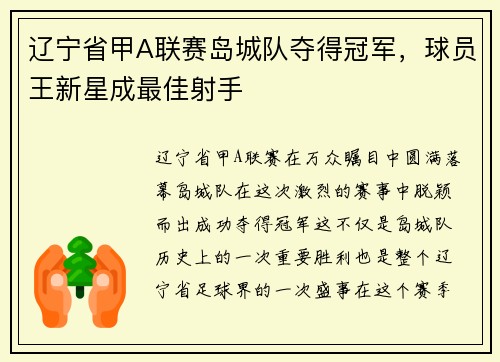 辽宁省甲A联赛岛城队夺得冠军，球员王新星成最佳射手