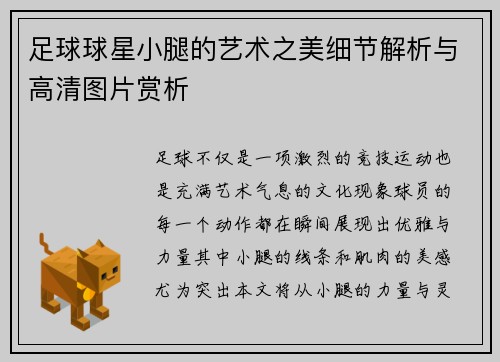 足球球星小腿的艺术之美细节解析与高清图片赏析