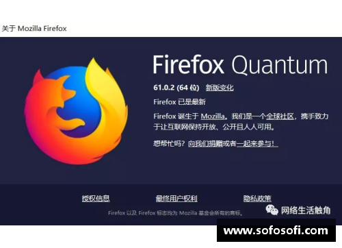 火狐全站官方网站中国网球，未来的无限可能 - 副本