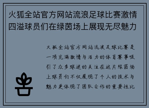 火狐全站官方网站流浪足球比赛激情四溢球员们在绿茵场上展现无尽魅力与团队精神